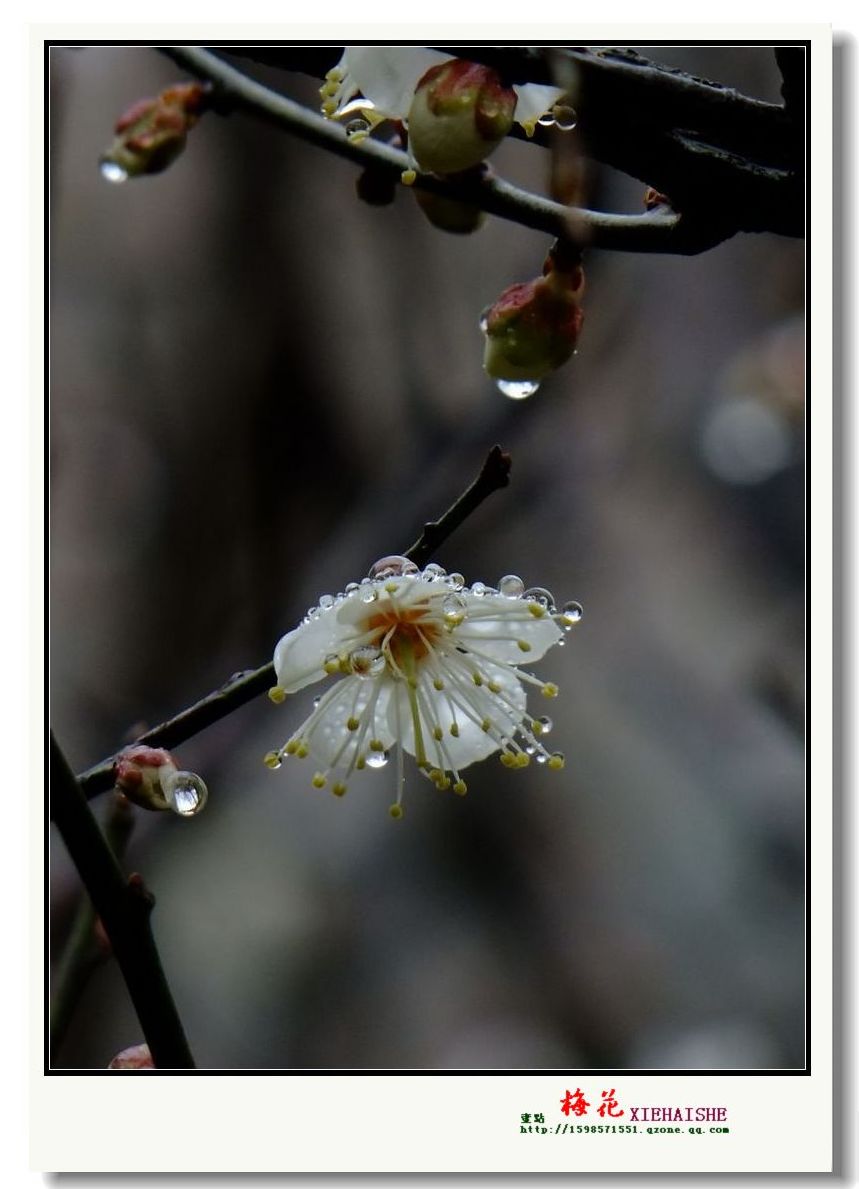 DSCF2949.jpg