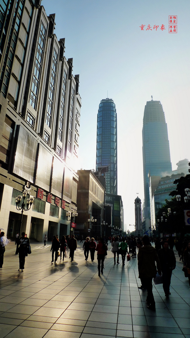 P1070829.jpg