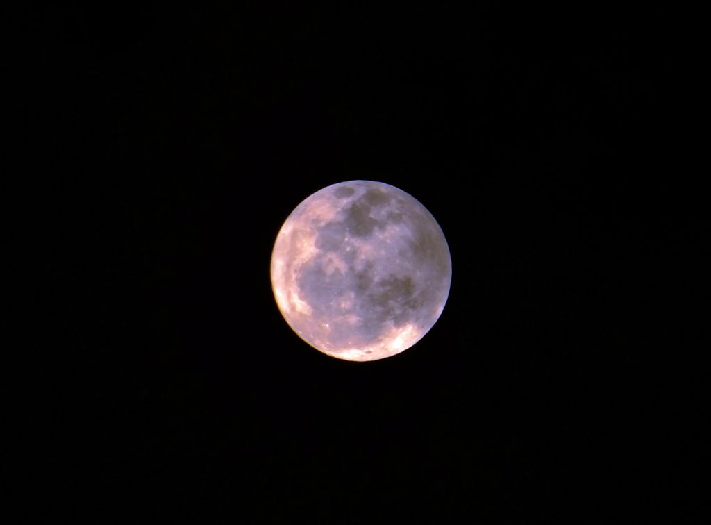 DSCF3174.jpg