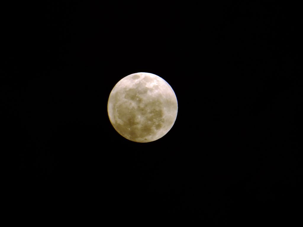 DSCF3175.jpg