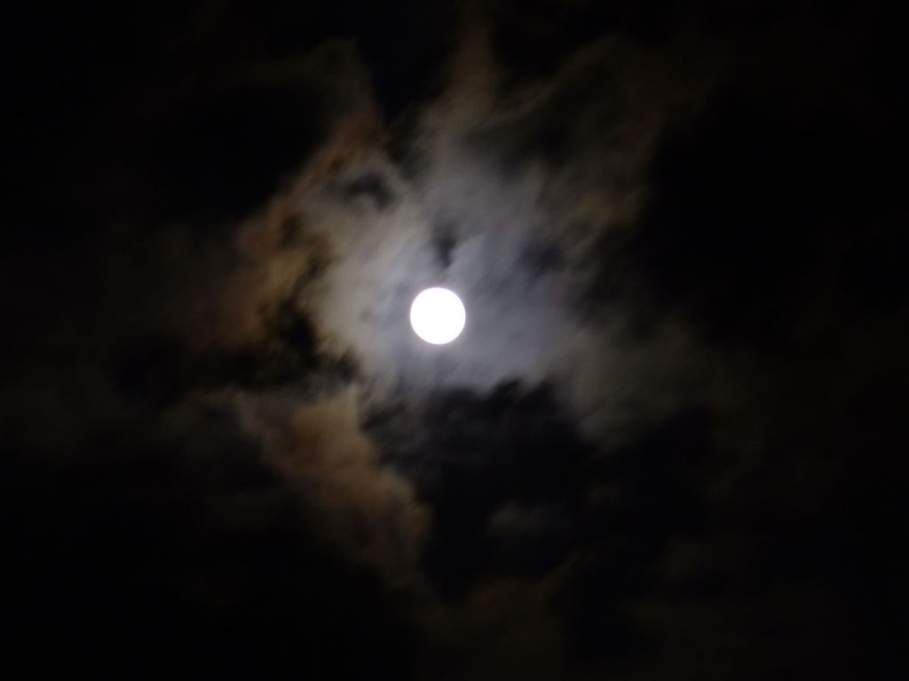 DSCF3196.jpg