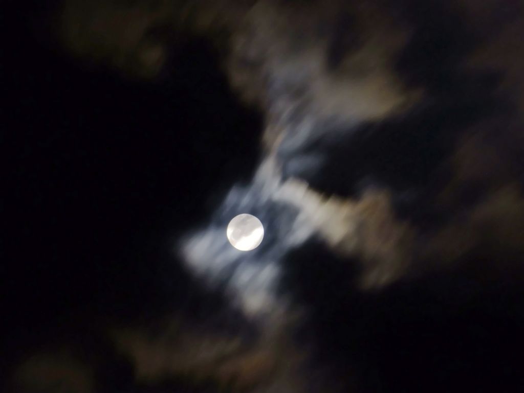 DSCF3215.jpg
