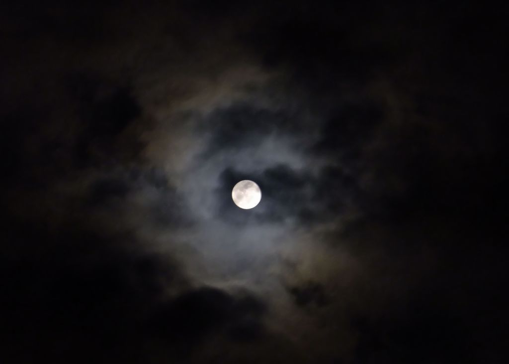 DSCF3231.jpg