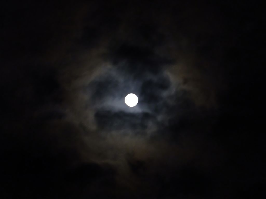 DSCF3232.jpg