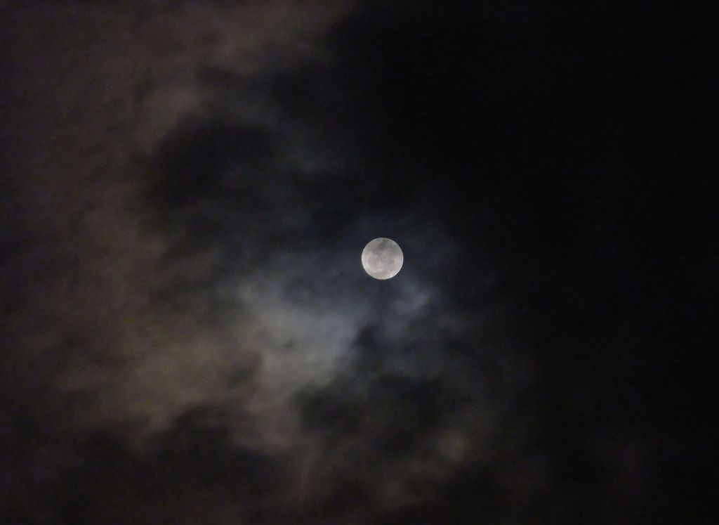 DSCF3245.jpg