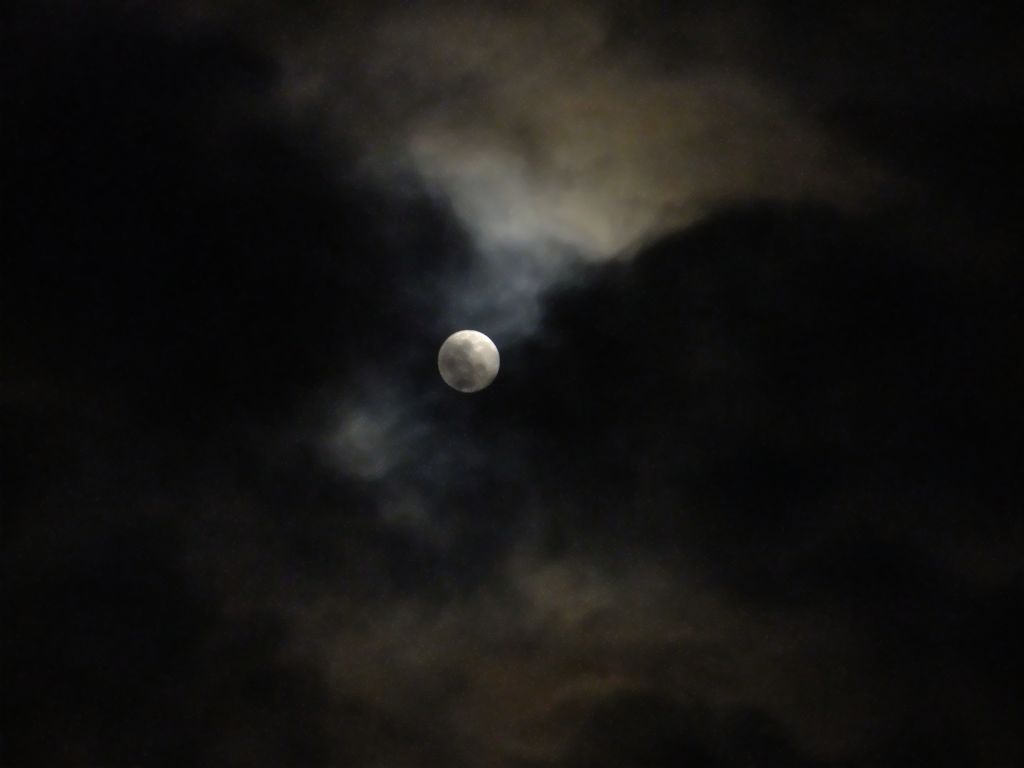 DSCF3284.jpg