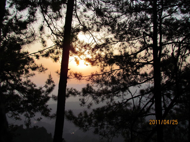IMG_0608_1.JPG
