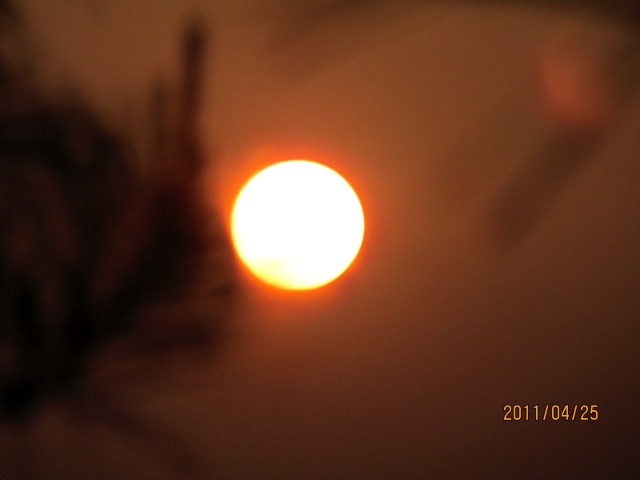 IMG_0632_1.JPG