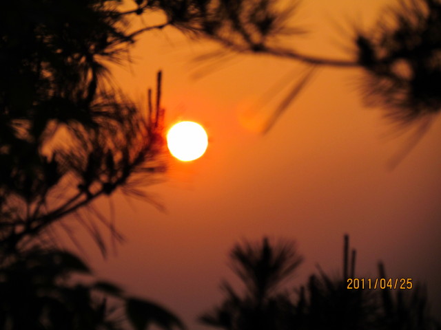 IMG_0633_1.JPG
