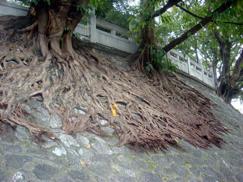 DSC09783_副本.jpg