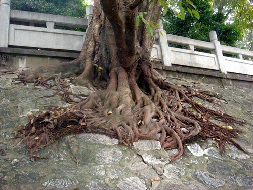 DSC09785_副本.jpg