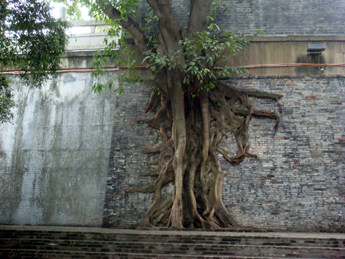 DSC09790_副本.jpg