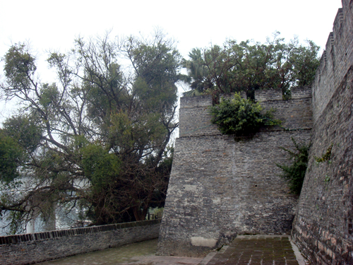 DSC09802_副本.jpg