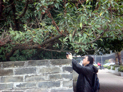 DSC09823_副本.jpg