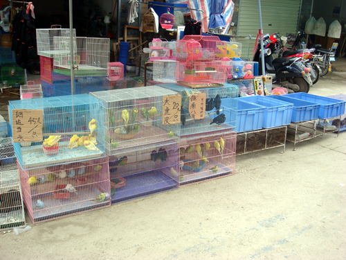 DSC09845_副本.jpg