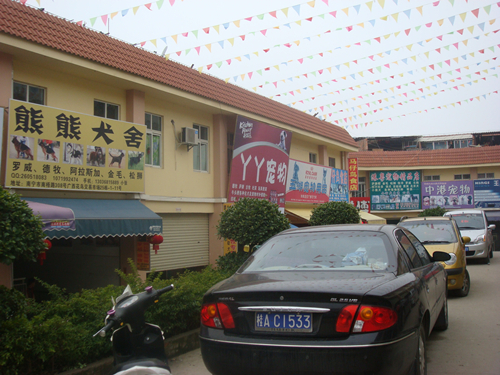 DSC09850_副本.jpg