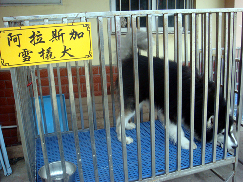 DSC09858_副本.jpg