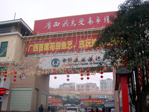 DSC09872_副本.jpg