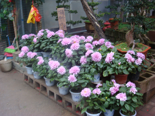 DSC09878_副本.jpg