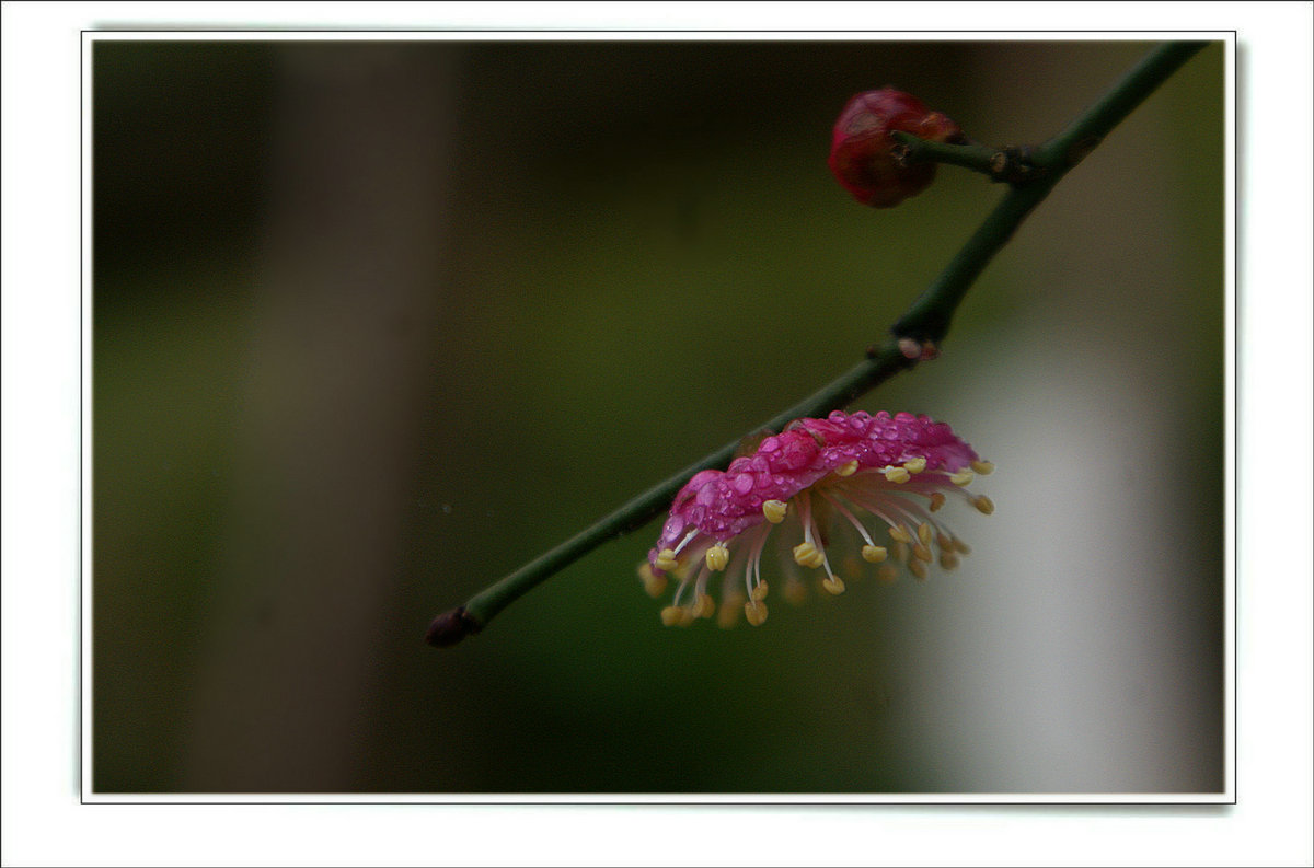 DSC07150_副本.JPG