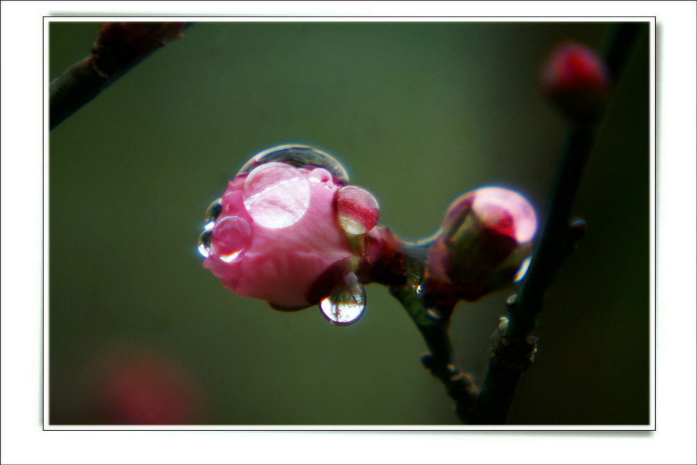 DSC07120.JPG