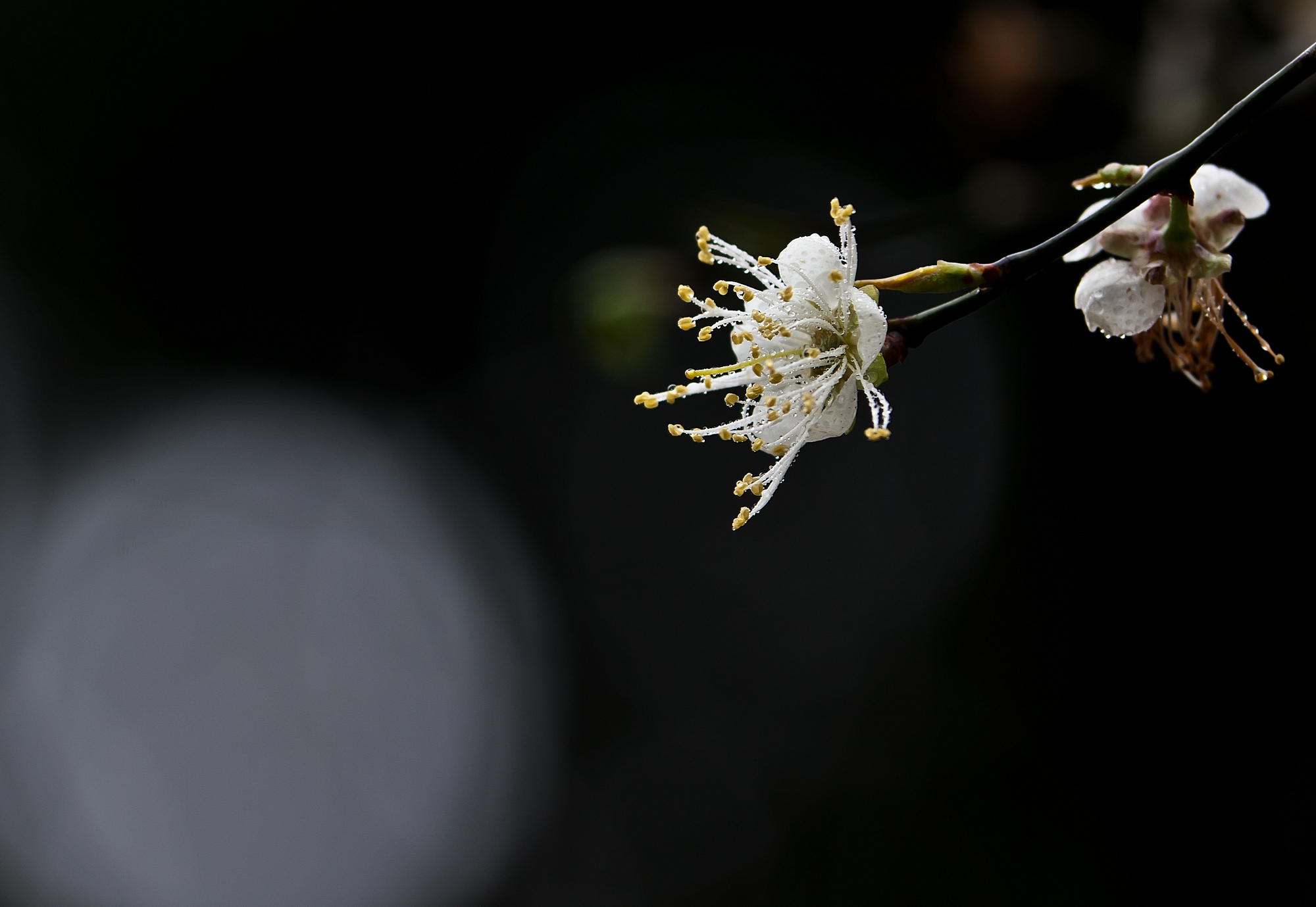 DSC09645.jpg