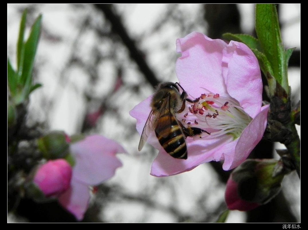 DSCN1663.JPG