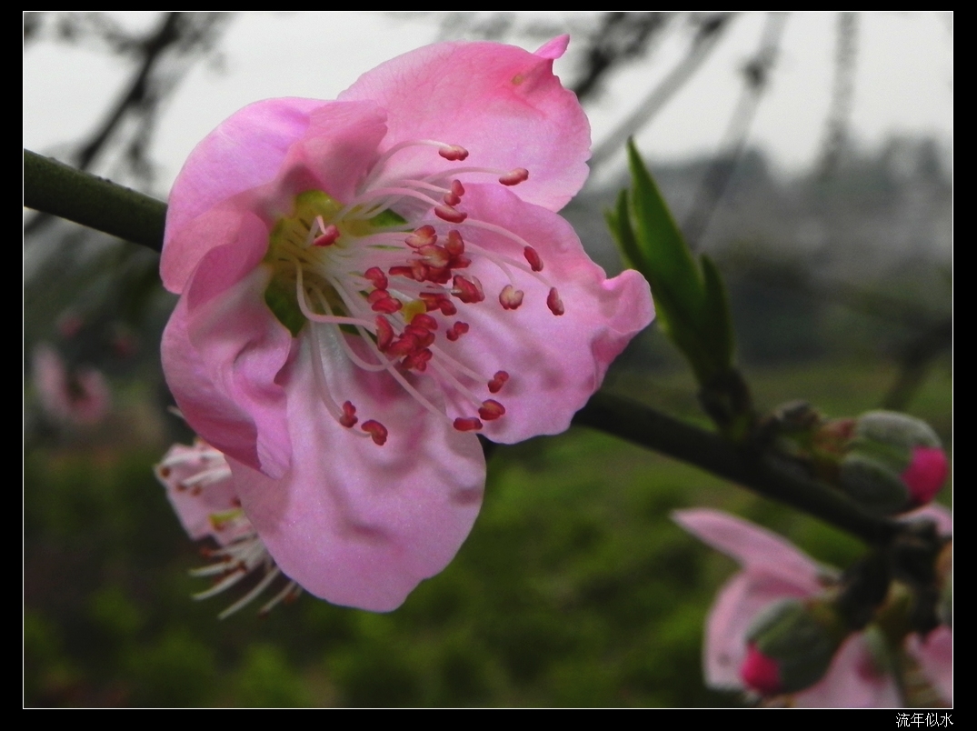 DSCN1670.JPG