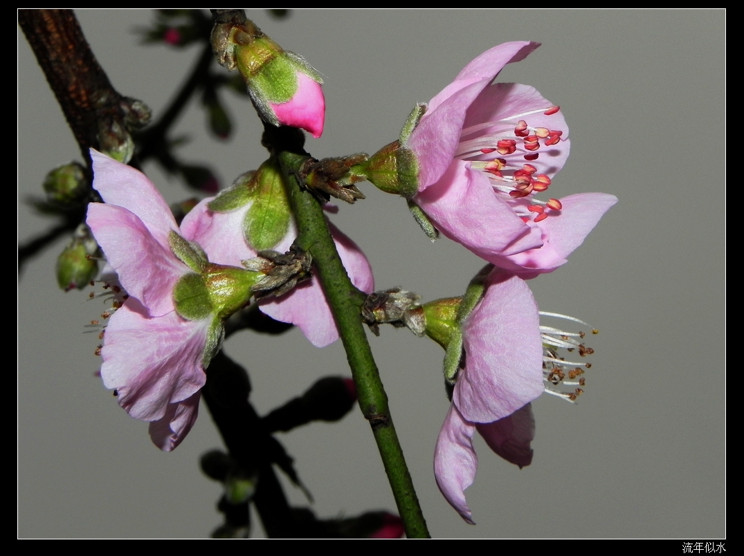 DSCN1759.JPG