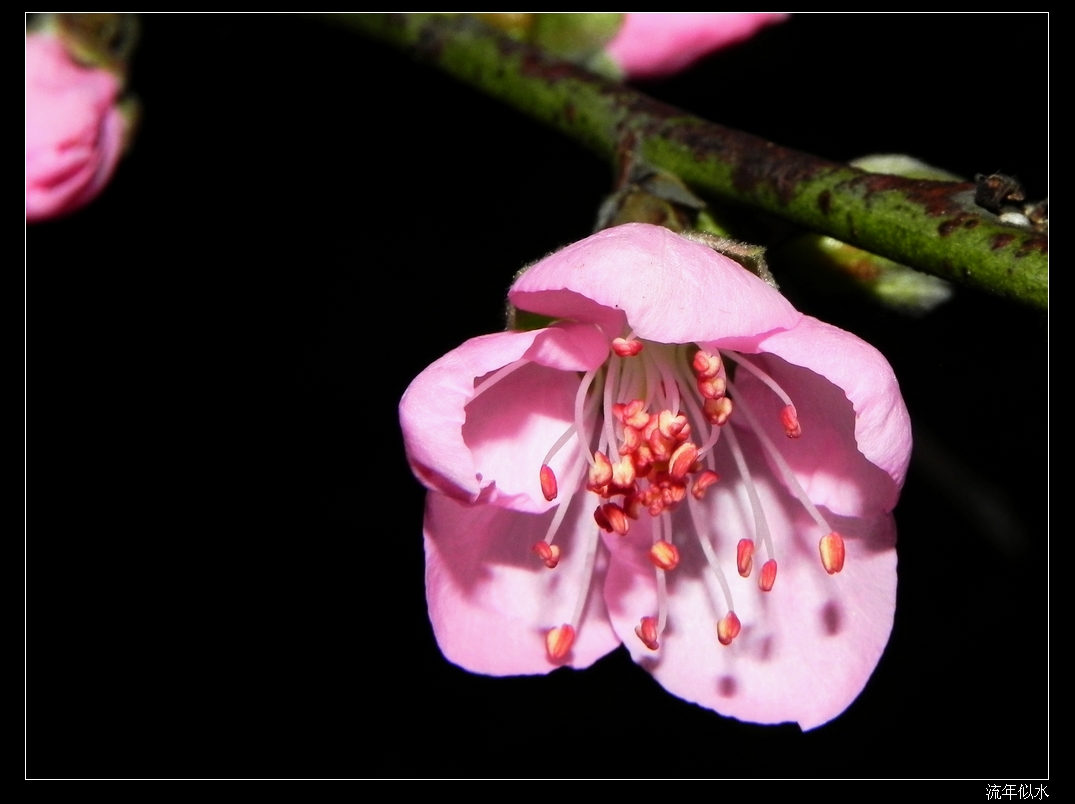 DSCN1777.JPG