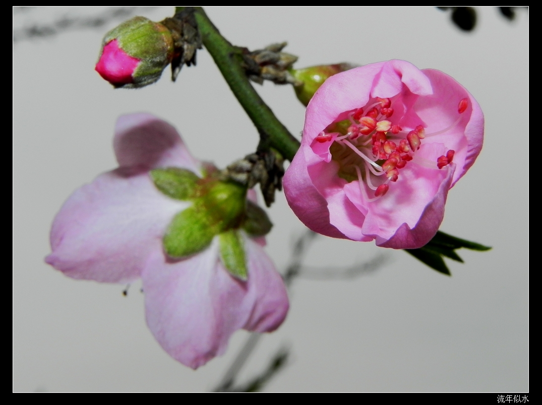 DSCN1782.JPG