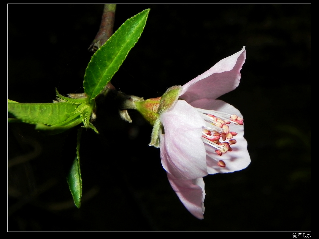 DSCN1790.JPG