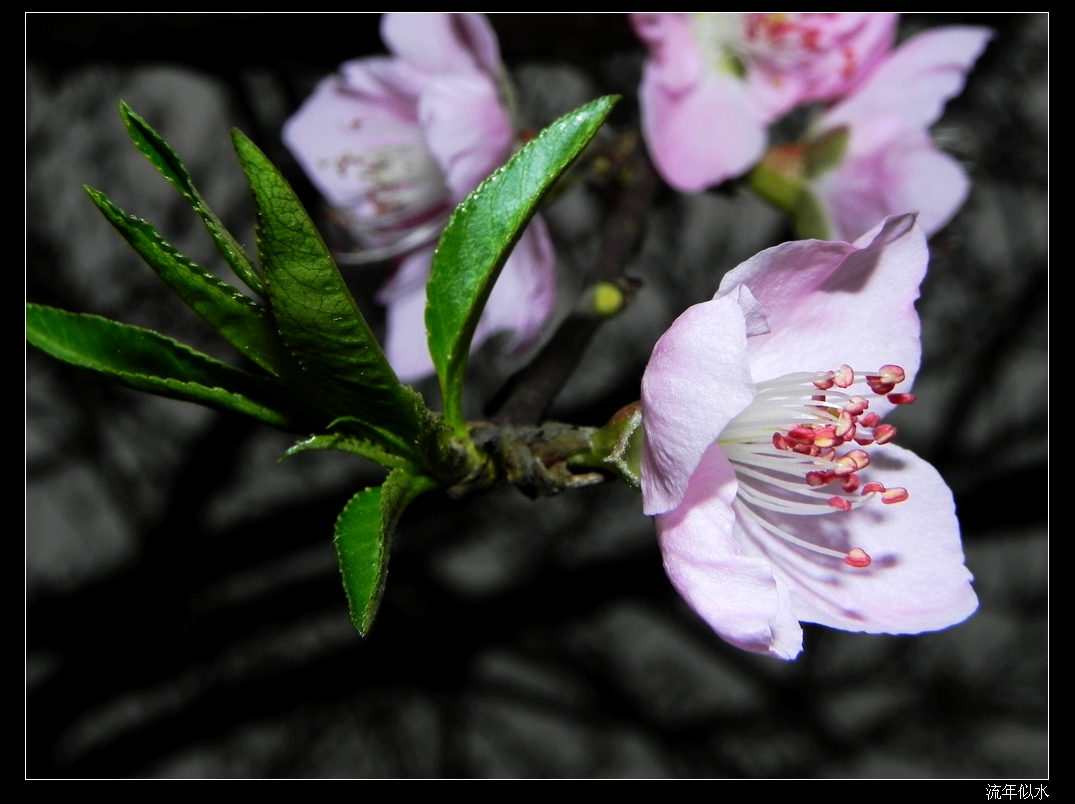 DSCN1797.JPG