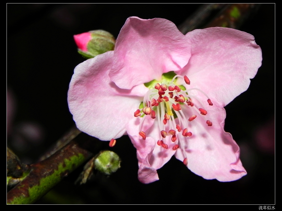 DSCN1806.JPG