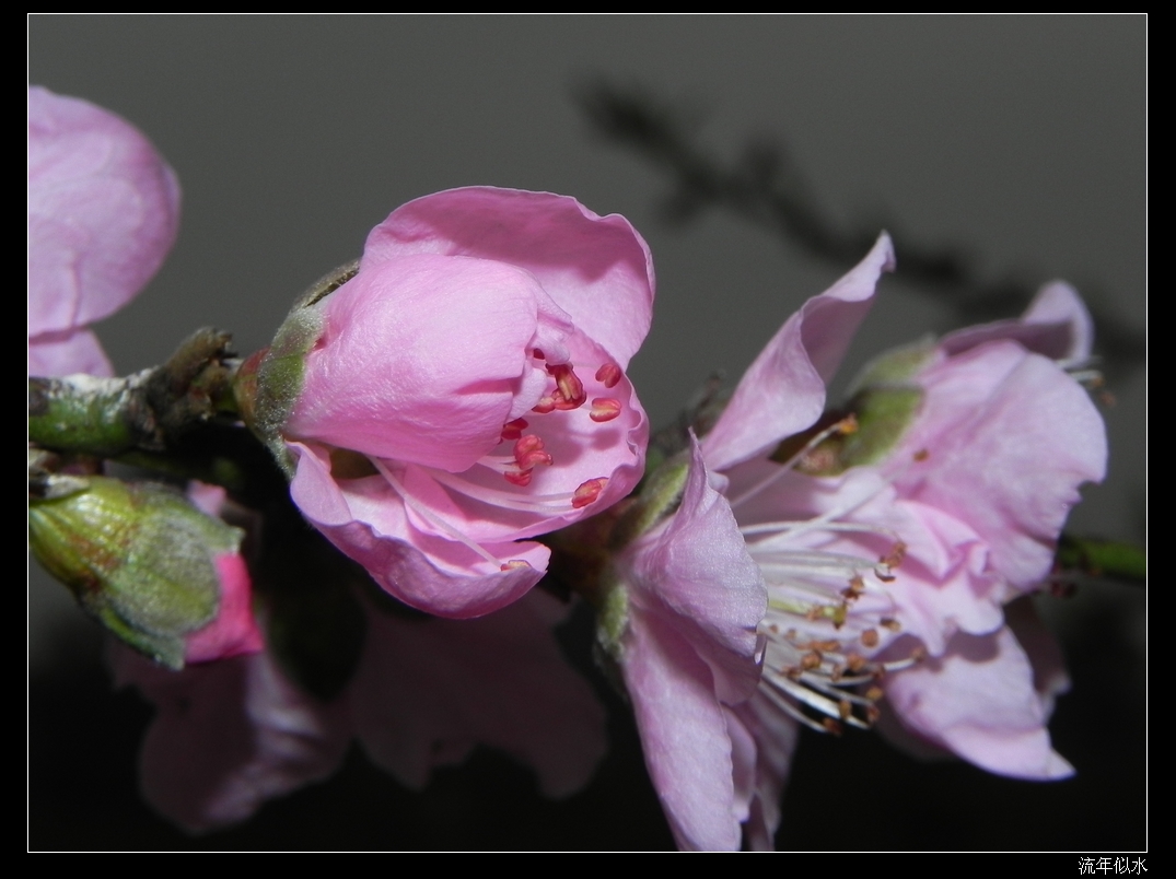DSCN1845.JPG