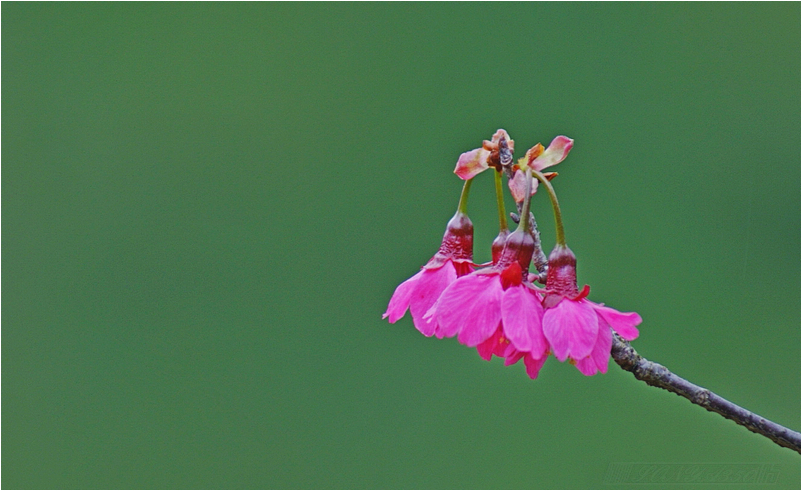 DSC08152.jpg