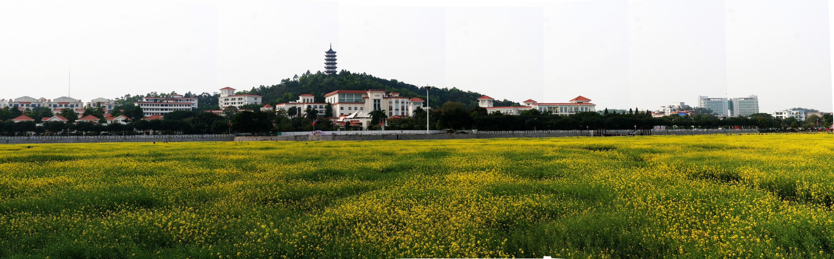未标题_全景图6.JPG