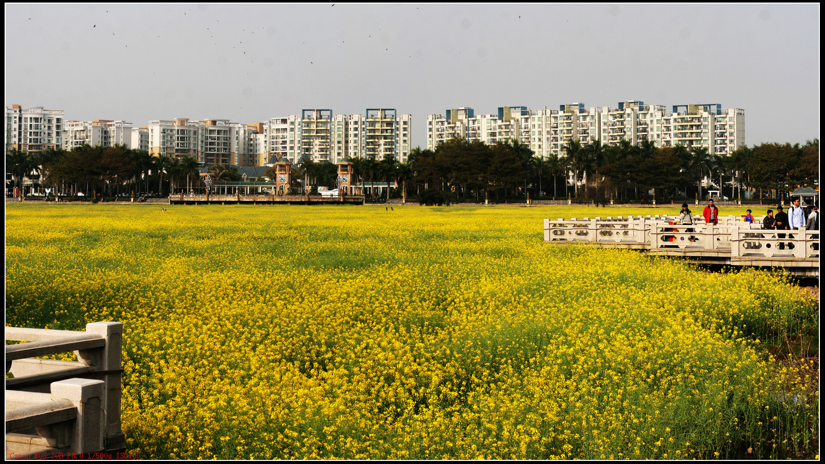 未标题_全景图2.jpg