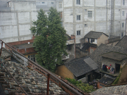 DSC09960_副本.jpg