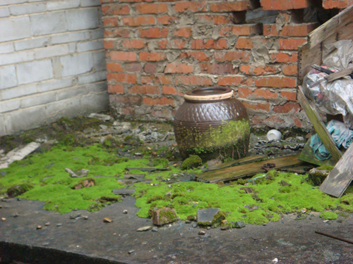 DSC09969_副本.jpg