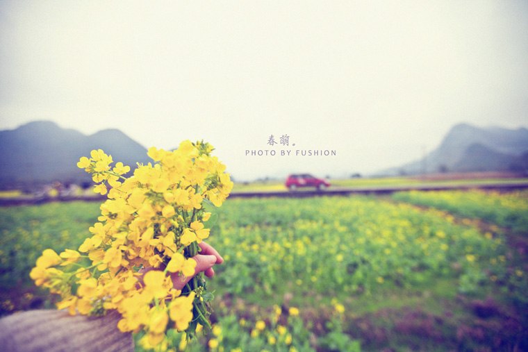 IMG_5450 副本.jpg