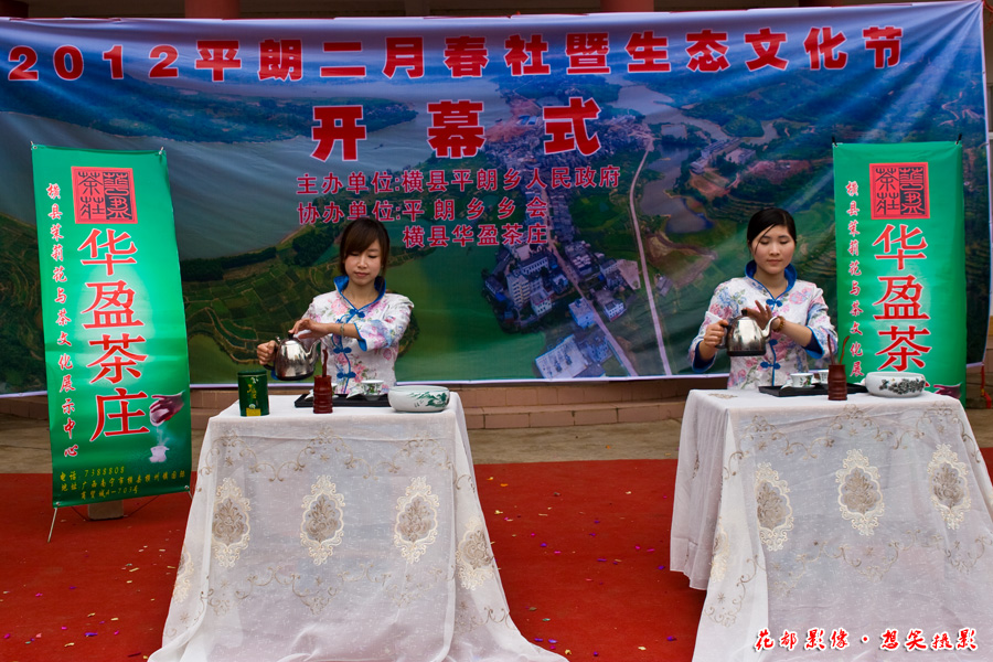平朗活动10茶艺表演.jpg