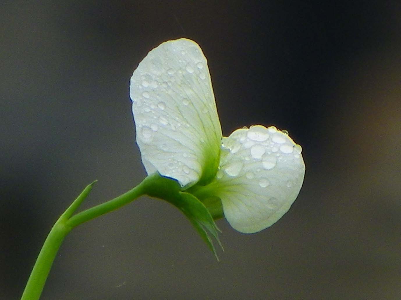 100_5604.JPG