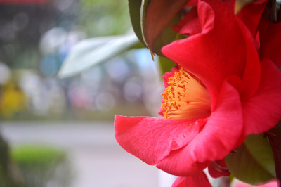 DSC_0072.jpg