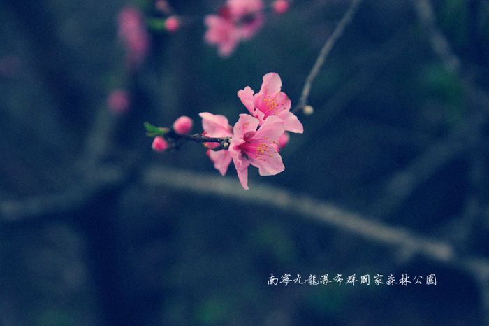 1 (19).jpg