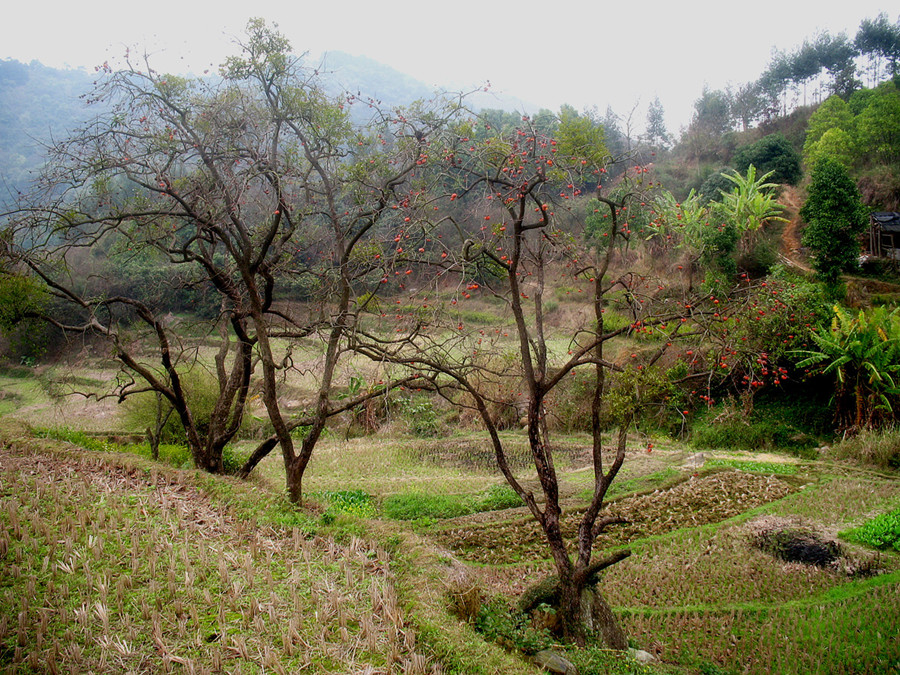 IMG_6713_副本_.jpg