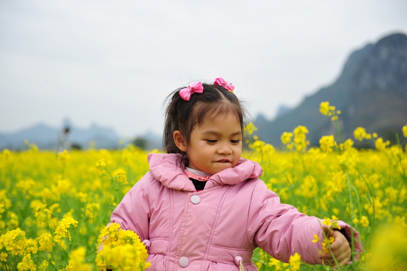 上林西燕油菜花1 056.jpg