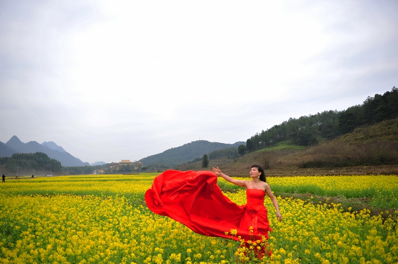 上林西燕油菜花2 077.jpg