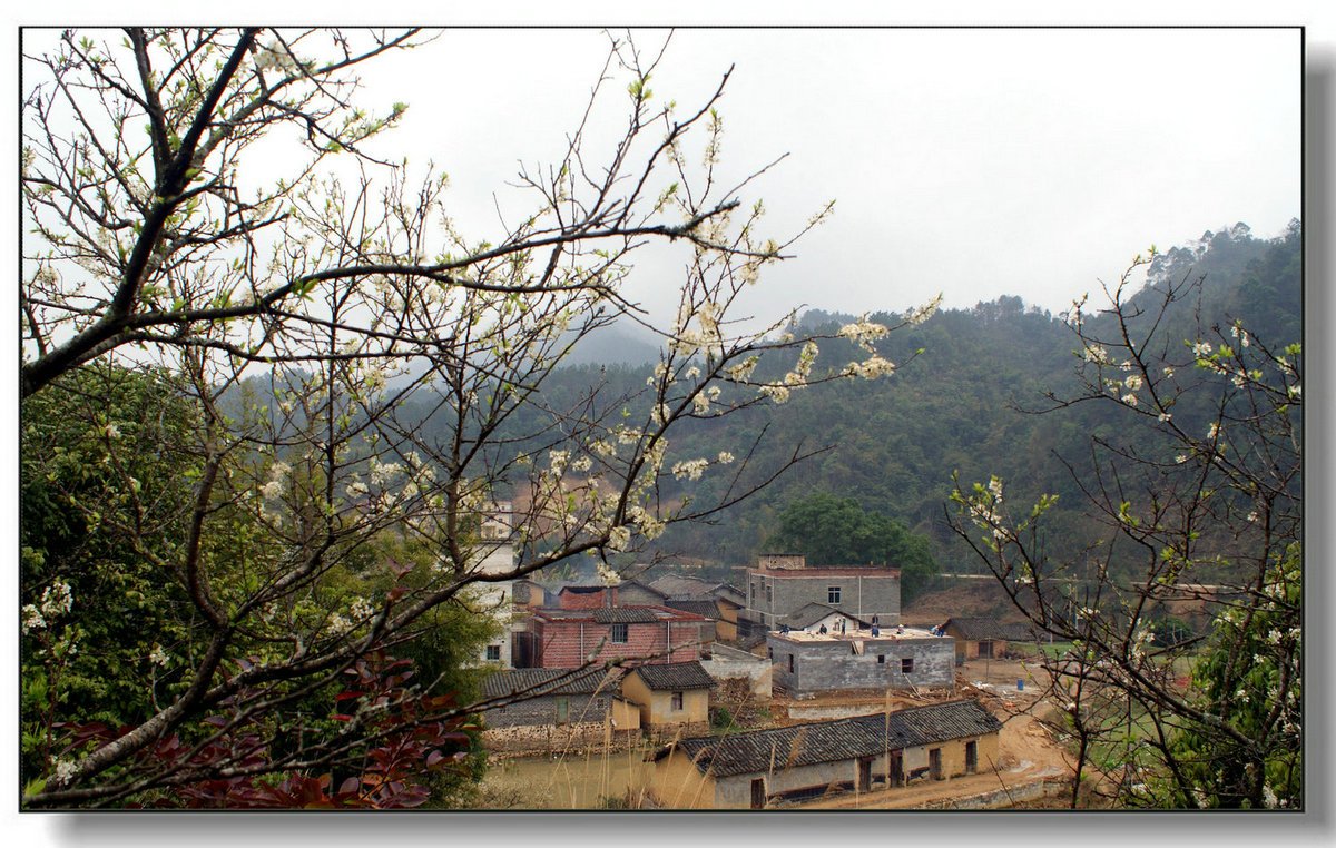DSC07957_副本.jpg