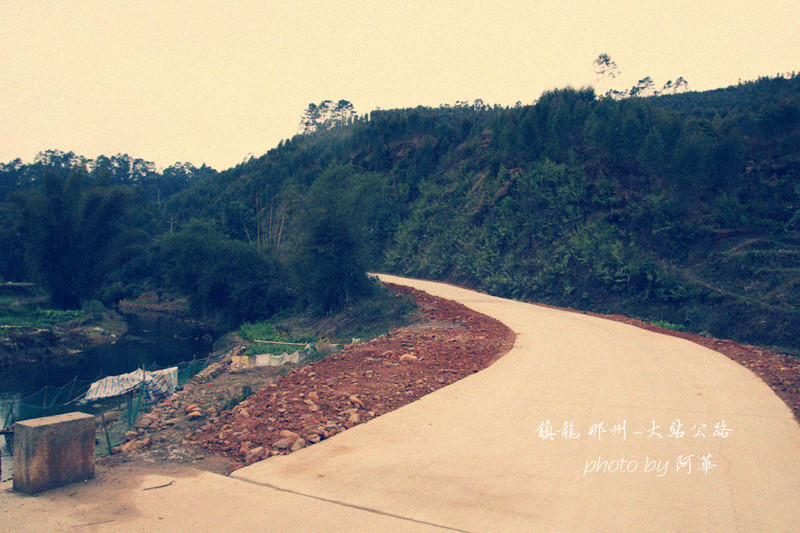 那龙 (4).jpg